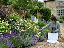 Comment associer arbustes, fleurs et plantes vivaces dans un aménagement paysager ?